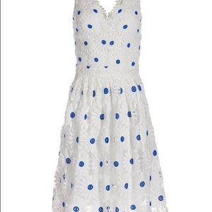 NWT Boston Proper Fit and Flare Daisy Dress